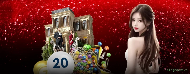 Suporte Qualidade bingoaovivo