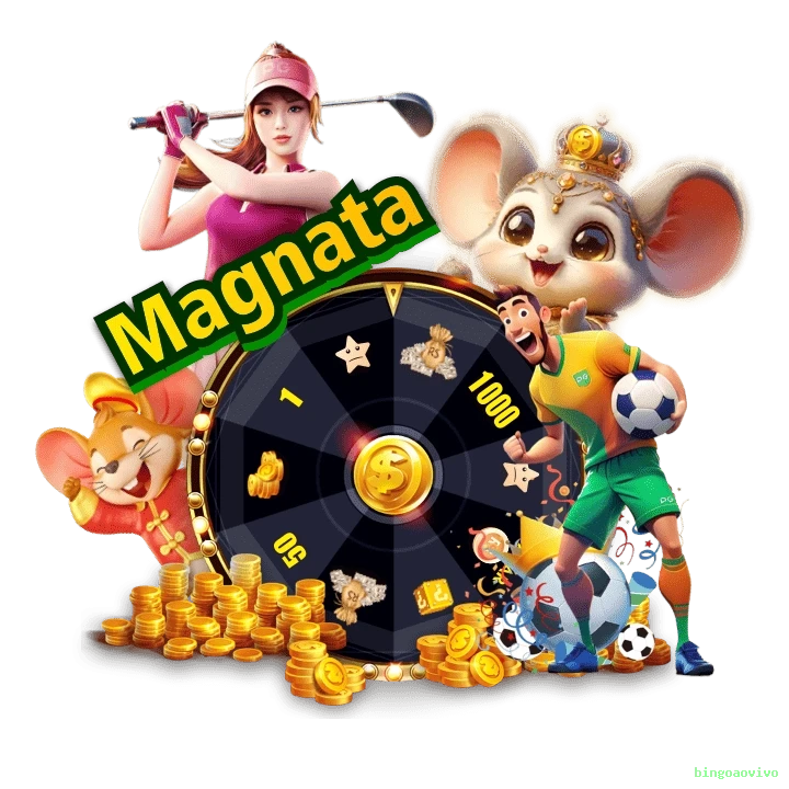 Privacidade bingoaovivo
